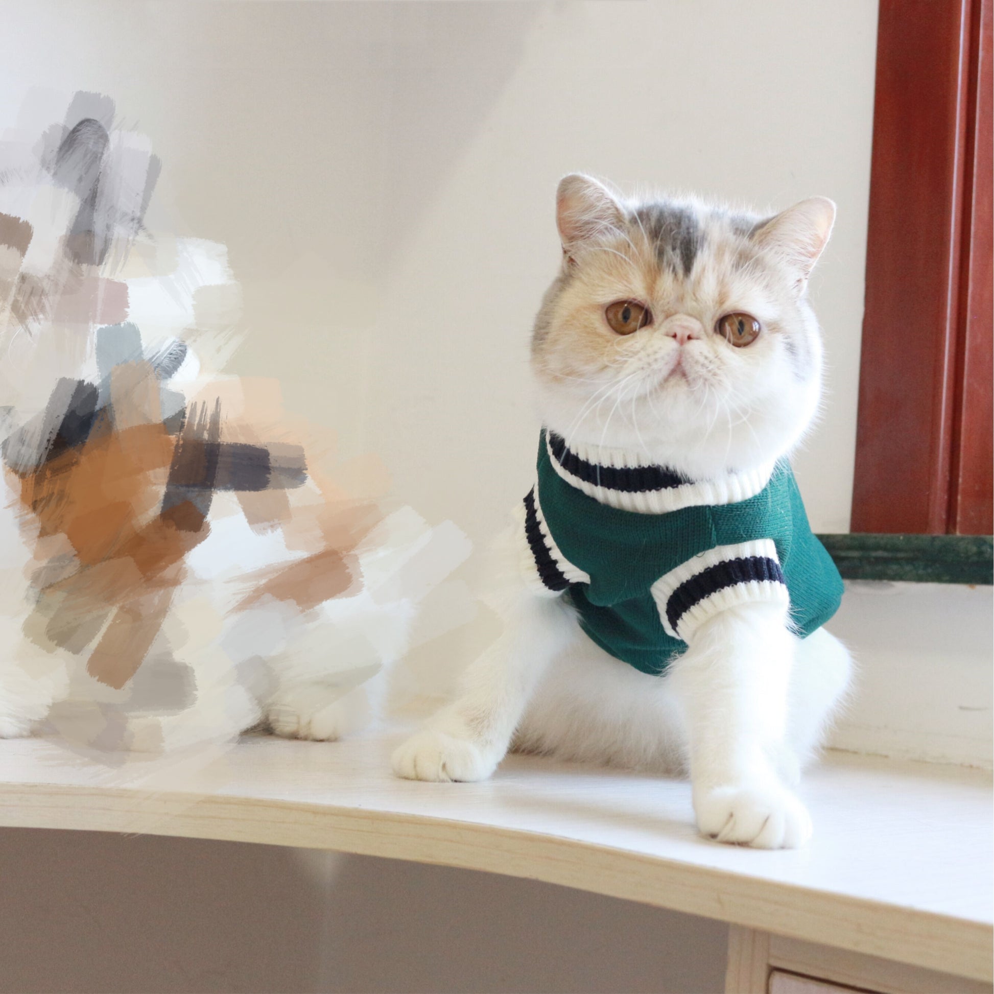 American College Style Cat Sweater - Pawsitive Cuddles